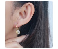 Silver Hoop Earring HO-2602